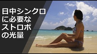 日中シンクロに必要なストロボの光量  #028