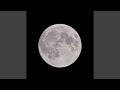 Moon Dance