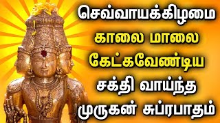 செவ்வாய்க்கிழமை அனைத்து யோகங்களும் தரும் முருகன் பாடல்கள் | MURUGAN TAMIL BAKTHI PADALGAL