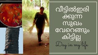 വീട്ടിൽ എല്ലാവരും കൂടെ ഇരിക്കാൻ എന്താ രസം/A Day in my life/ village life /Sunday Vlog