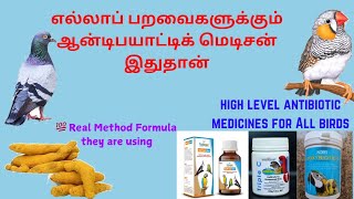 Best Natural Antibiotic Medicine for Birds in தமிழ் | English Antibiotic Medicine for Birds 💉 |