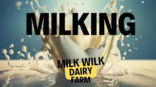 @milkwilkdairyfarm Live Milking