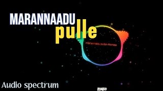 MARANNAADU PULLE SONG | AUDIO SPECTRUM | PANI | SLOWED | Romeo