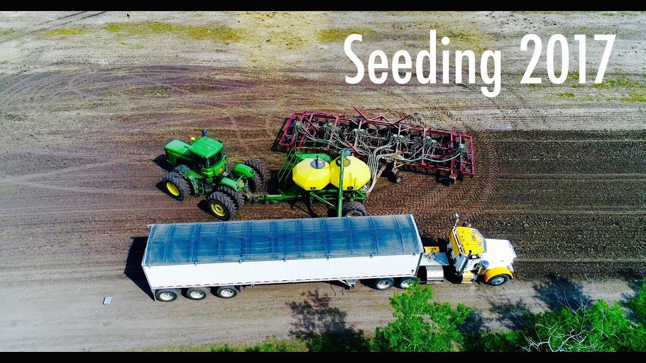 Seeding 2017 Youtube