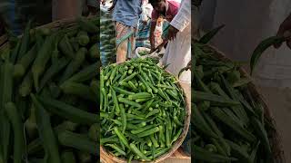 16 October 2024 | ঢেঁড়সের পাইকারি দরদাম #পাইকারিবাজার  #hatbazar #reels #wholesale #vegetables