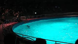 Dolphinarium Netherlands