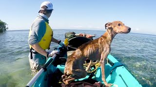 無人島で餓死寸前の子犬を助けた男性。3ヵ月後に再会した時、犬の反応に涙が溢れる【感動】