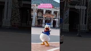 グリーティング・ドナルドの開園前グリーティング【東京ディズニーランド】#tdl #アーリーグリ#東京ディズニー #ドナルド #フリグリ #エントランス#shorts #youtube #disney