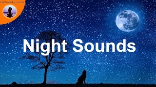 8 HOURS Campfire Night Sounds Outdoors Crickets Frogs Ambient Sounds For Sleep Relaxation
