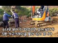 굴삭기 조경기능사 소나무분뜨기영상