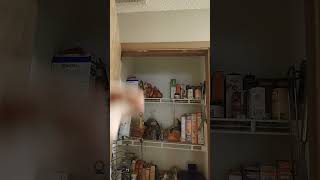 Clean my pantry with me, part 4.