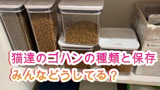 猫の餌の保存方法と餌の種類