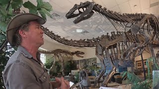 Museum at Dinosaur Junction showcases ancient Colorado history