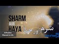 Sharam Aur Haya | Heart touching speech | Must listen