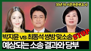 박지윤 최동석 이혼, 상간자 소송 분석과 제안