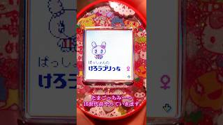 【15世代目】 自分だけのたまごっちを育成！ #たまごっち  #tamagotchi #サンリオ #sanrio #みーつ #Meets