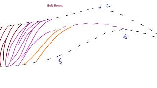 Applied Microblading Patterns:  Bold Brows