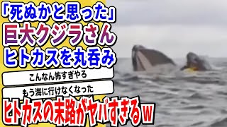 【2ch動物スレ】カヤックに乗っていた海外ニキ、突然クジラに食べられる→撮影された映像が衝撃的すぎると話題にwwwww【なんj/にちゃん 面白いスレ】