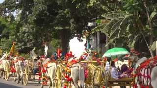 Buddhist Procession for Novice Nuns \u0026 Monks, Mandalay, Burma.