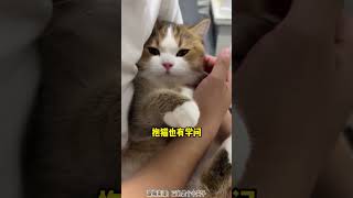 养猫以后才发现这些事，很简单！ #新手养猫 #养猫好物 #老手养猫 #猫咪 #养猫经验 #喵星人 #pets #萌寵