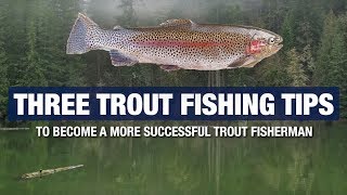 3 Advanced Trout Fishing Tips and Tricks - Become A Better Trout Fisherman
