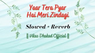 Yaar Tera Pyar Hai Meri Zindagi "Hum Bhi Insaan Hain" | Slowed And Reverb | Lata Mangeshkar & M Aziz