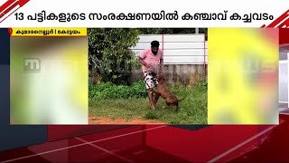 കാക്കി കണ്ടാൽ കടിച്ചുകീറണം; ട്രെയിനിം​ഗ് കിട്ടിയ പട്ടികളുടെ കാവലിൽ കഞ്ചാവ് കച്ചവടം | Crime