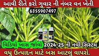 ગવાર માં ઉત્પાદન વધારવું છે? // વાપરો આ ખાતર અને દવા // Gavar ni kheti 2024 // #ગવાર #gavar_ki_kheti