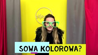 Piosenki dla dzieci [1] Sowa Kolorowa