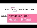 CSS Navigation Bar Hover Effects | csPoint web design tutorial