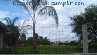 VIDEO DE HAGA.wmv