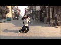 an wushu bajiquan xiao jia form u0026 application