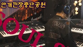 전자올겐연주 안개낀장충단공원 배호 Yamaha PSR SX900 Cover 허인자SOUL