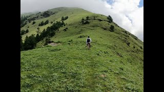 साथीहरुले सोध्छन- आजकाल काम चाहिँ के गर्छौ? डाँडातिर हल्लिने -मेरो उत्तर😂