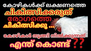 കോഴികൾ തൂങ്ങി നിൽക്കുന്നത് ഏത് അസുഖത്തിന്റെ ലക്ഷണമാണ് /പരിഹാരം എന്ത്/A common symptom of chickenpox