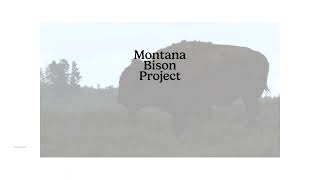 MBP-Montana Bison Project-Brand Presentation