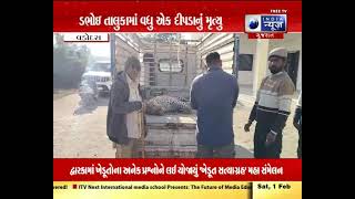 Dabhoi તાલુકામાં વધુ એક દીપડાનું મૃત્યુ- India News Gujarat