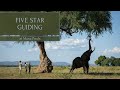 Why Serious Safari Travellers Choose Zimbabwe