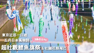 【逃離東京Vlog#5】EP07 群馬館林｜五月日本風物詩－東京近郊超壯觀鯉魚旗祭\u0026杜鵑花祭尾巴