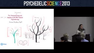 The Phenomenology and Sequelae of MDMA-Assisted Psychotherapy: A Pilot Study - Genesee Herzberg