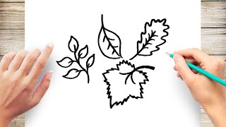 How to Draw Autumn Fall Leaves Step by Step