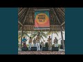 Island reggae vibe