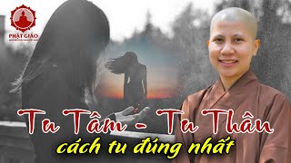 Cách TU TÂM - TU THÂN đúng nhất | SC Giác Lệ Hiếu trả lời vấn đáp | PGVN