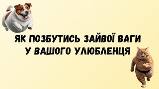 Зробіть вашого улюбленця струнким