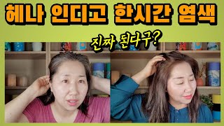 [천연염색]  헤나 + 인디고 밝은 갈색 한시간 염색 후기/숙성 시간 필요 없는 배합 제품 + 셀프 염색에 관한 중요한 정보