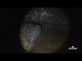 വെട്ടുകൽ ഗുഹ ശിലായുഗം ancient burial cave chowanur thrissur blackhumour