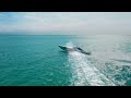 the king of speed boats our 2018 50 cigarette marauder amg