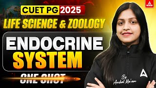 ENDOCRINE SYSTEM ONE SHOT for CUET PG Life Science and Zoology 2025