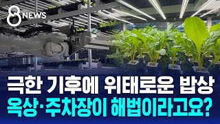 극한 기후에 휘청이는 밥상…옥상·주차장이 해법이라고요? / SBS 8뉴스