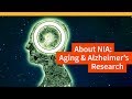 The National Institute on Aging at NIH